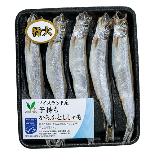 ししゃもページ アイスランド産 子持ちからふとししゃも｜Vマーク：信頼の生活ブランド